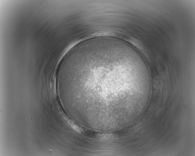 X0000062130886200512121212