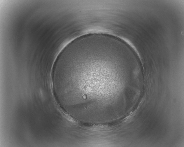 X0000062130887200512121212