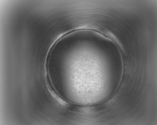 X0000062130892200512121212