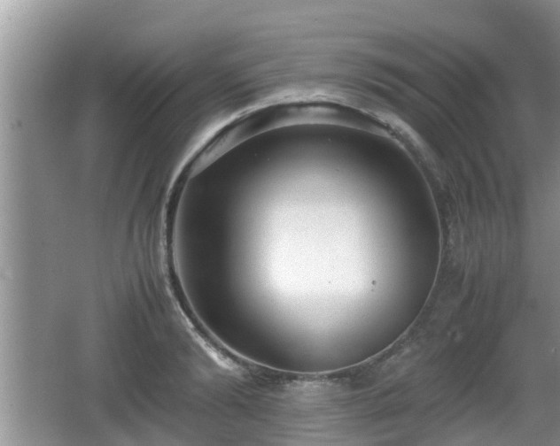 X0000062130894200512121212