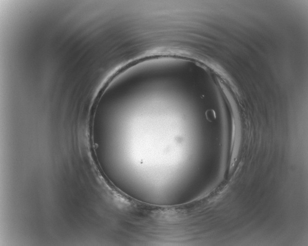 X0000062130896200512121212