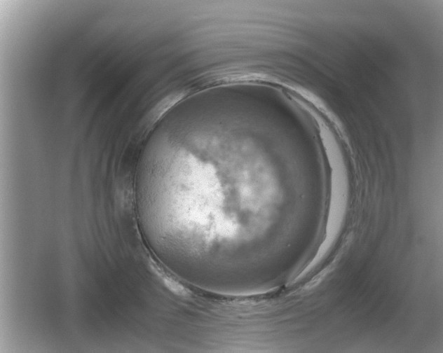 X0000062130897200512121212