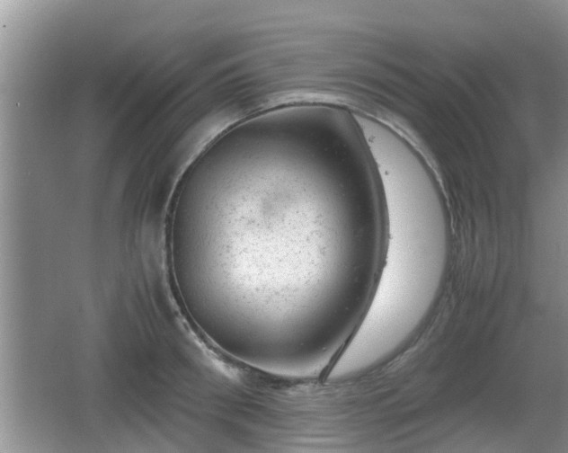 X0000062130898200512121212