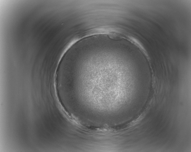 X0000062130899200512121212