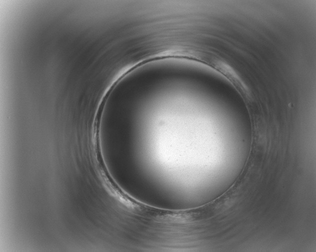 X0000062130900200512121212