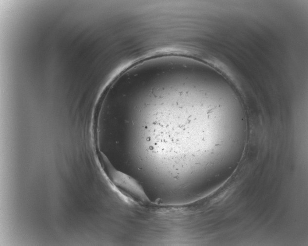 X0000062130902200512121212