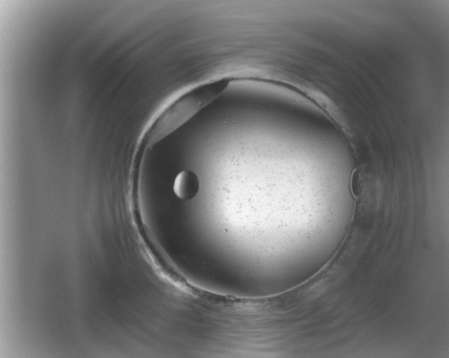 X0000062130904200512121212