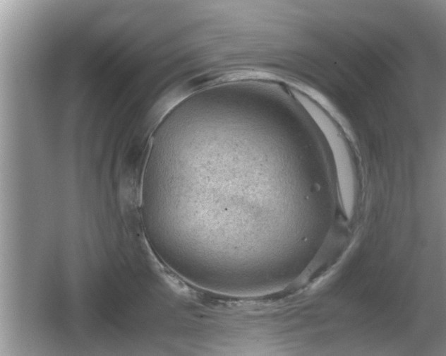 X0000062130905200512121212