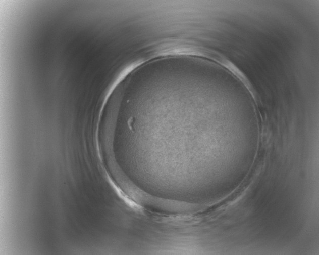 X0000062130909200512121212