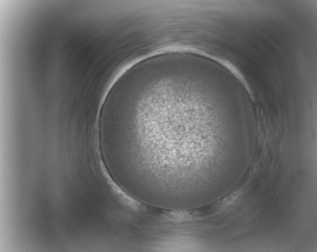 X0000062130911200512121212