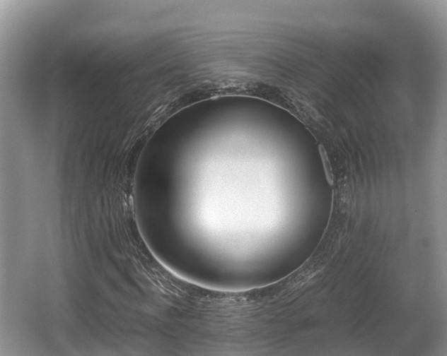 X0000062130916200512121211