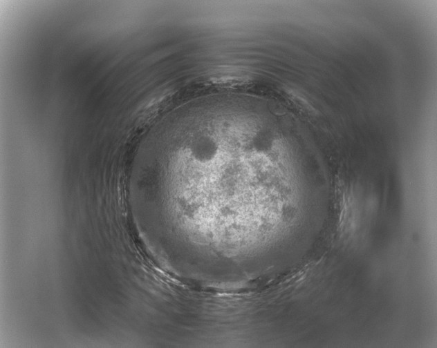 X0000062130917200512121211