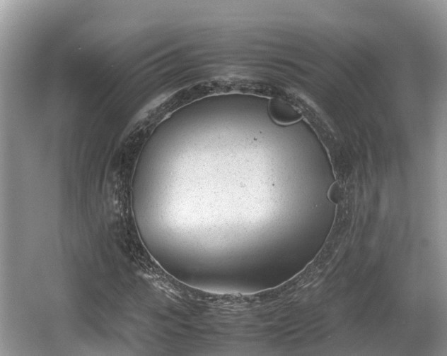 X0000062130919200512121211