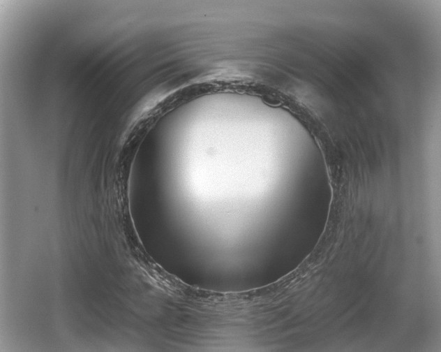 X0000062130920200512121211