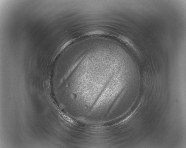 X0000062130921200512121211