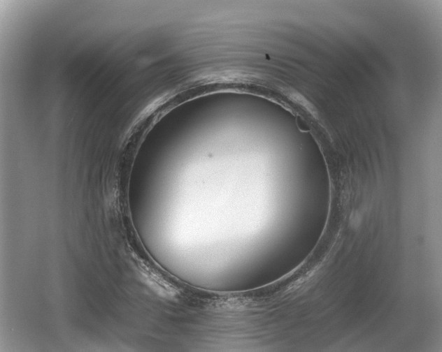 X0000062130922200512121211