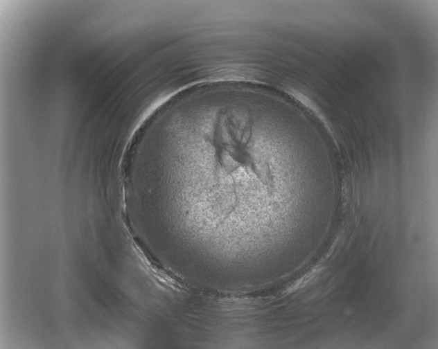 X0000062130925200512121211