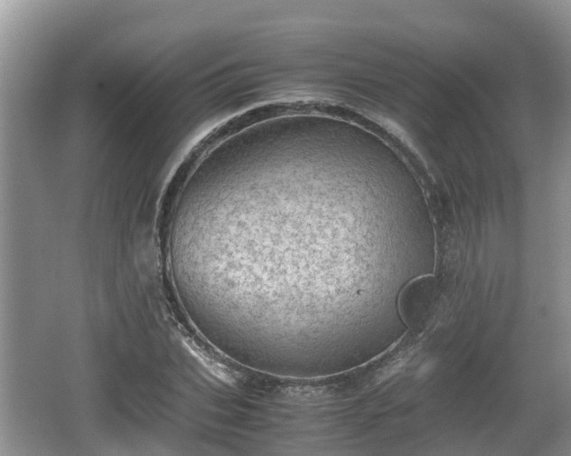 X0000062130927200512121211