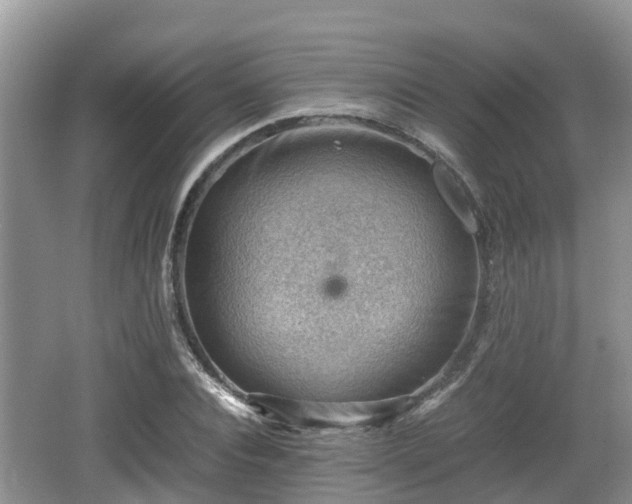 X0000062130928200512121211