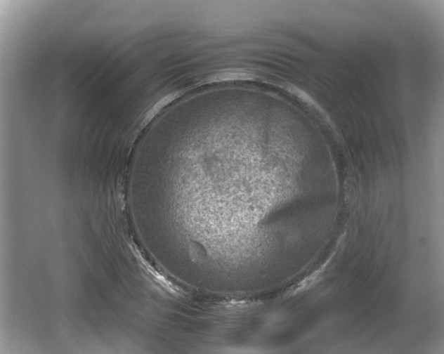 X0000062130929200512121211