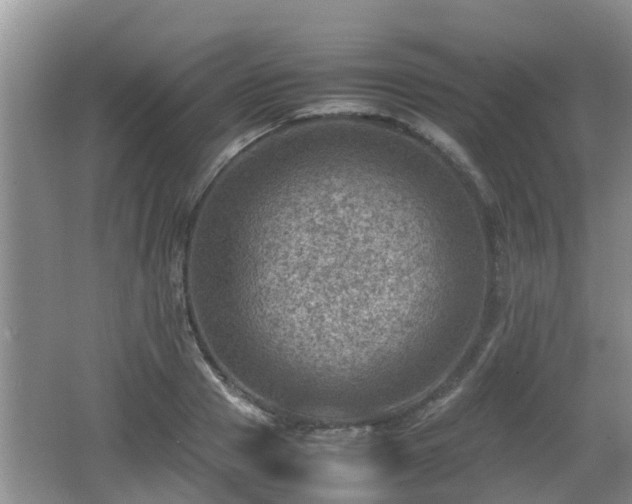 X0000062130937200512121212