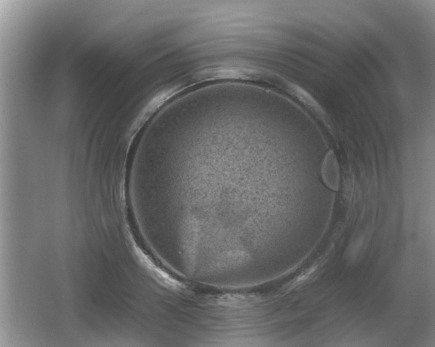 X0000062130938200512121212