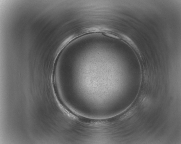 X0000062130946200512121212