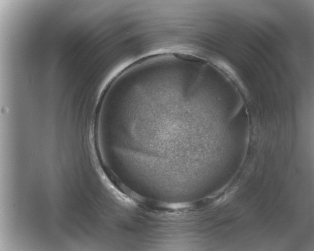 X0000062130952200512121212