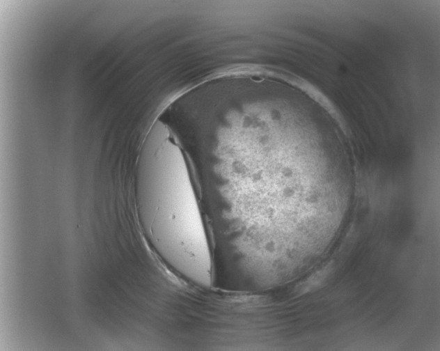 X0000062130953200512121212