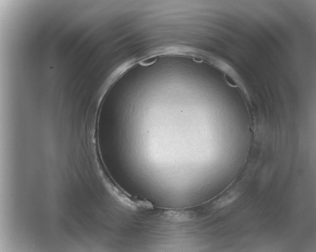 X0000062130954200512121212