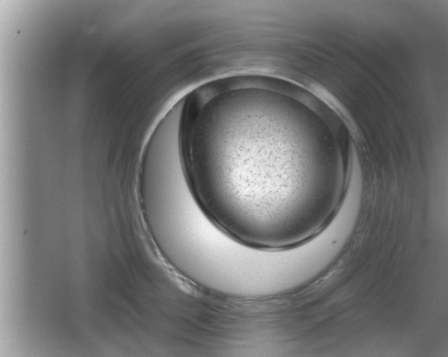 X0000062130956200512121212