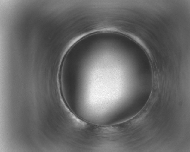 X0000062130959200512121212