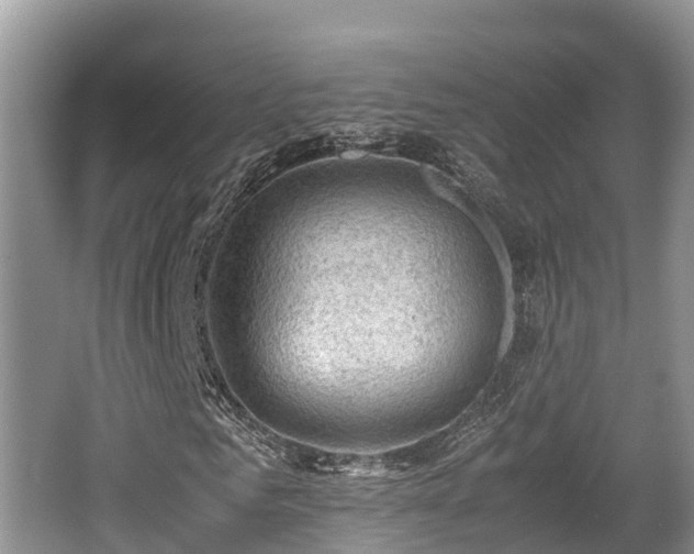 X0000062130961200512121211