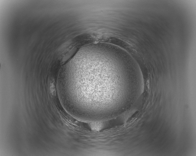 X0000062130963200512121211