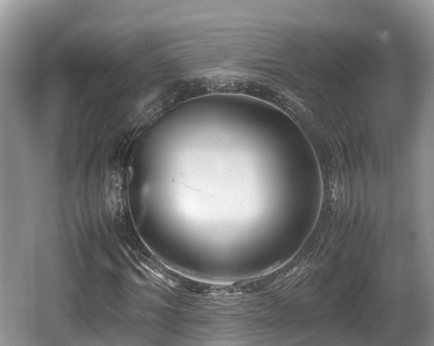 X0000062130964200512121211