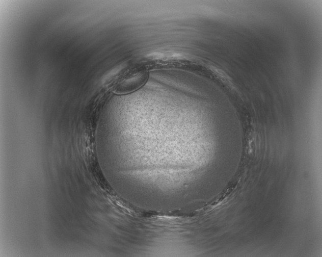 X0000062130966200512121211