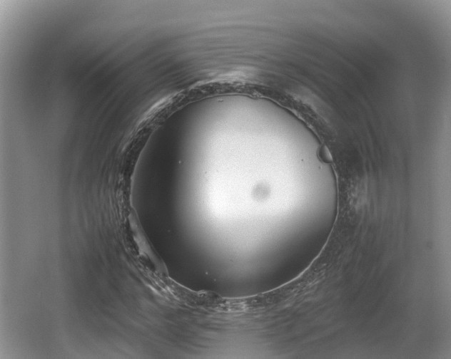 X0000062130968200512121211