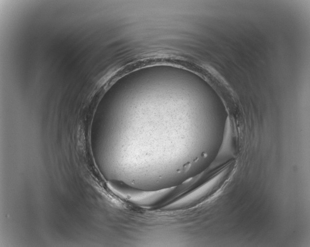 X0000062130969200512121211