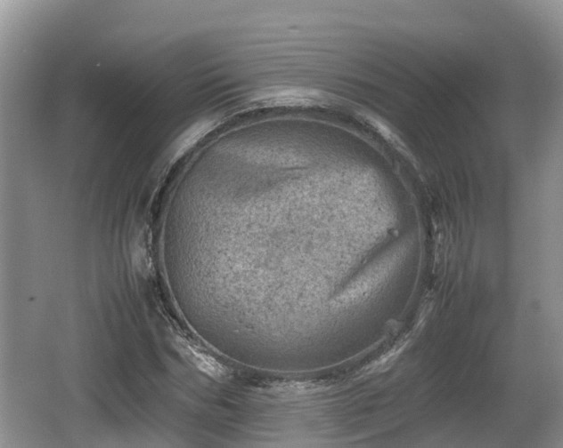 X0000062130970200512121211