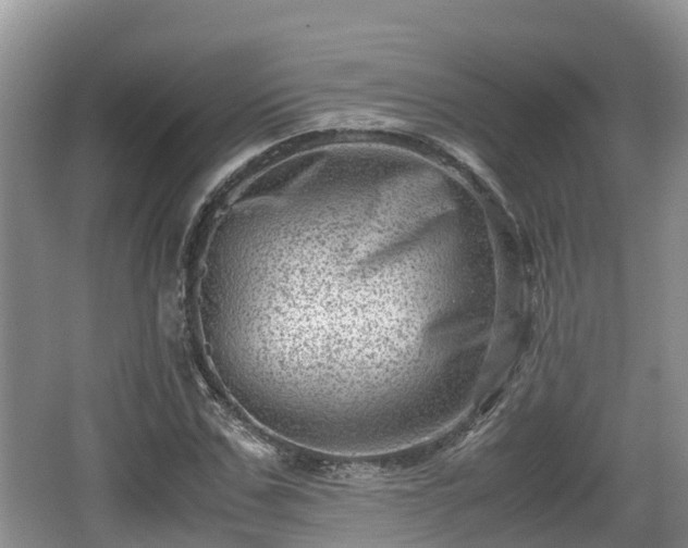 X0000062130971200512121211