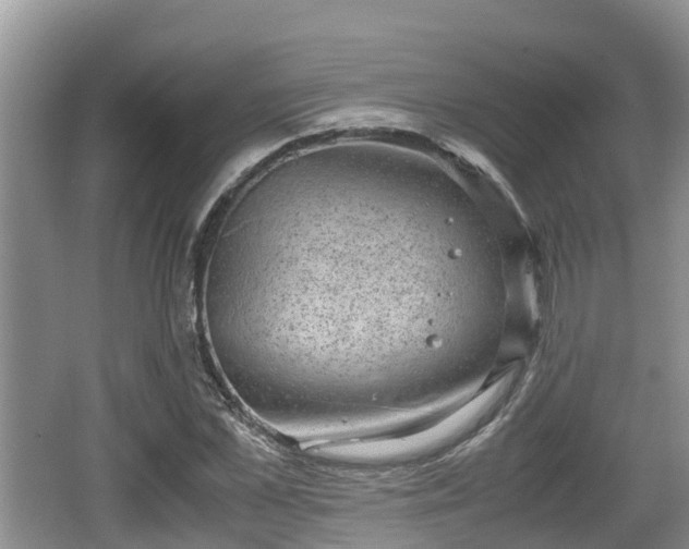 X0000062130973200512121211