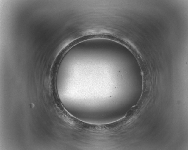 X0000062130975200512121211