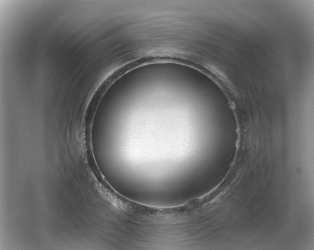 X0000062130976200512121211