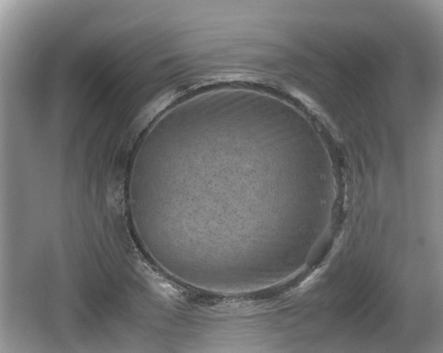 X0000062130977200512121211