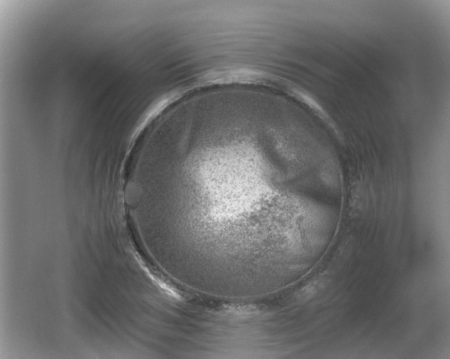 X0000062130978200512121211