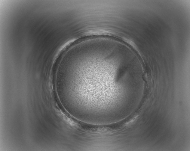 X0000062130979200512121211