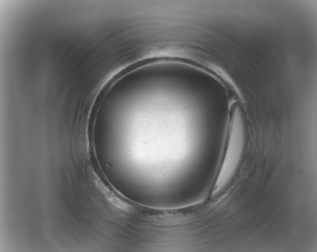 X0000062130980200512121211