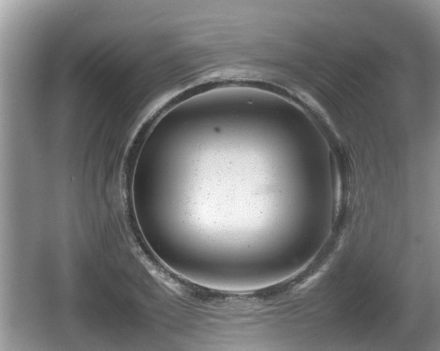 X0000062130981200512121211