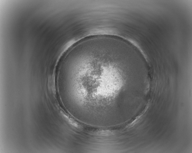 X0000062130982200512121211