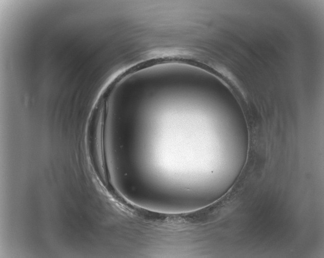 X0000062130983200512121211